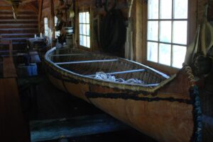 フィナステリド使用後の初期脱毛の期間はどれくらい？