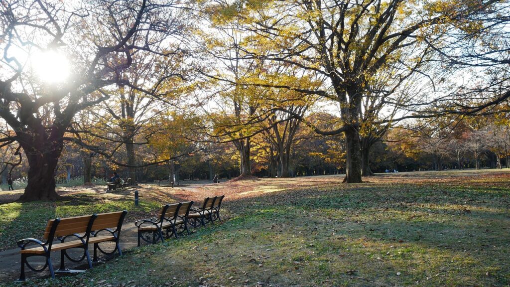 東京でAGAのオンライン診療を受け取りたい場合の手続きは？