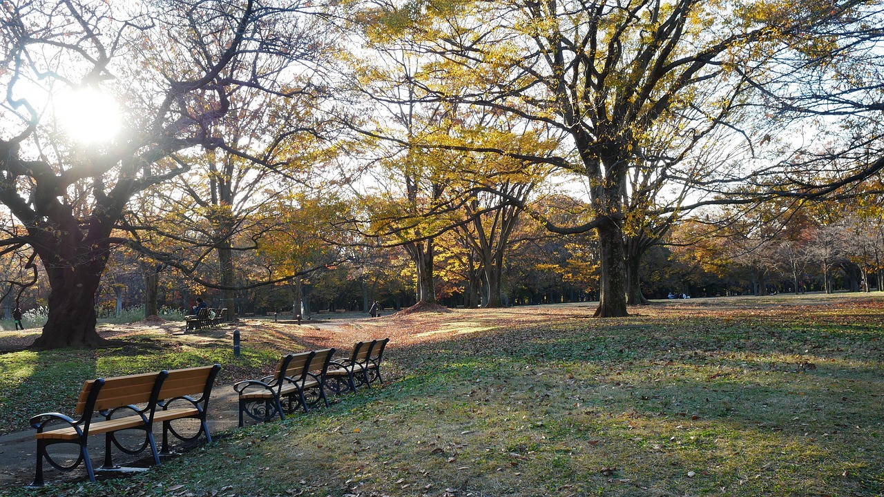 東京でAGAのオンライン診療を受け取りたい場合の手続きは？