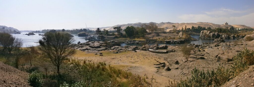 AGA予防に遺伝や体質を考慮した場合、できることは？