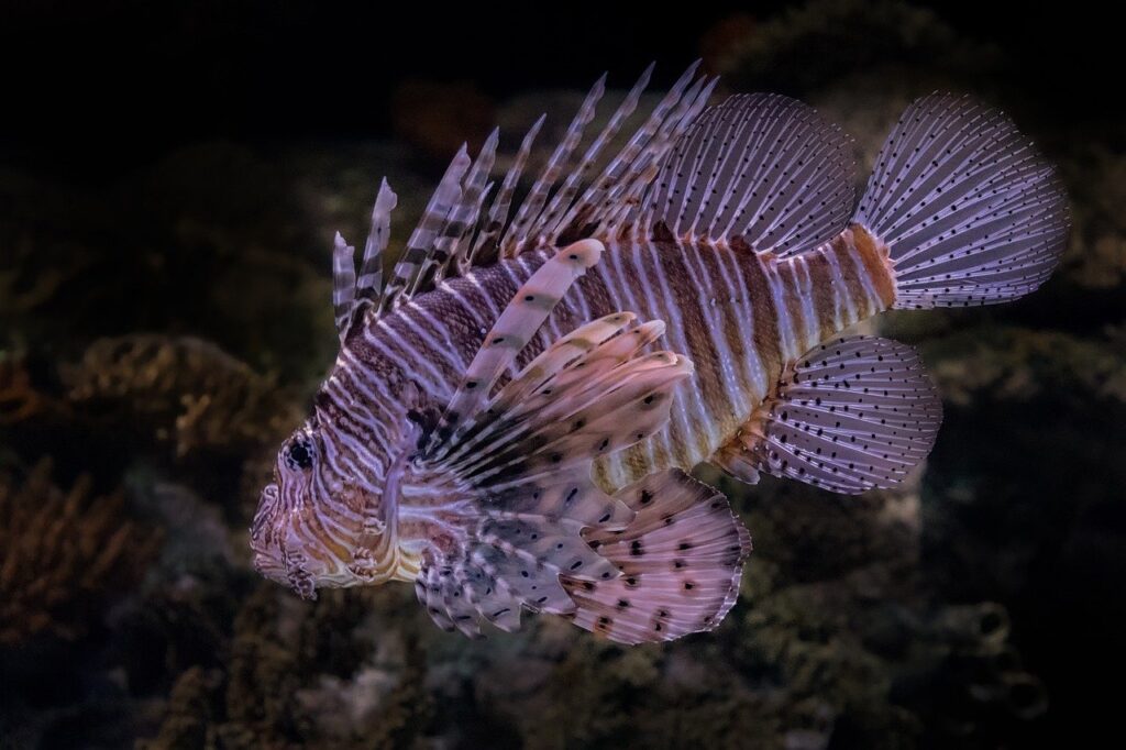 ミノキシジル外用の正しい使い方と頭皮への効果は？