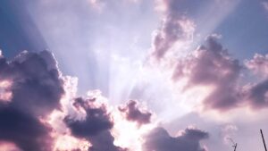 スカルプシャンプーの効果はどのように実感できるのか？