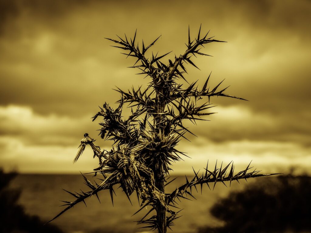 育毛メソセラピーの痛みはどれくらい感じるのか？