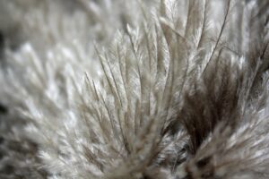 遺伝的にはげやすい人のための頭皮ケア方法とは？